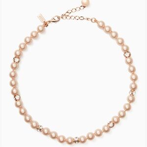 Kate Spade Necklace and Earrings